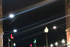 fullsizeoutput_8376