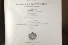 B47BF943-23E7-4148-85A5-CF5A67E48E77_1_201_a