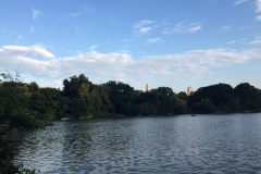 IMG_0404
