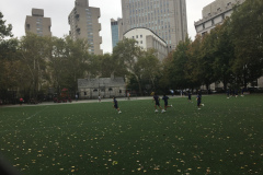 IMG_0510