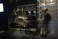 IMG_0372