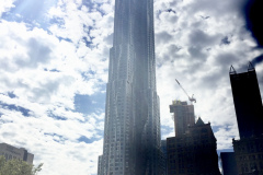 fullsizeoutput_5952