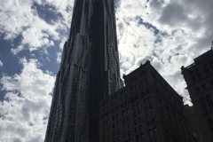 fullsizeoutput_5953