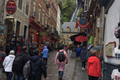 IMG_9539-1