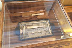 IMG_6561