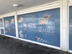 Musée des coquillages