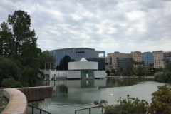 IMG_8451