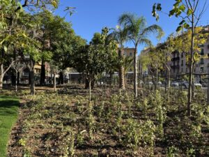 La coulée verte à Nice